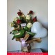 composition fleural orchidée et rose prix 30 euro