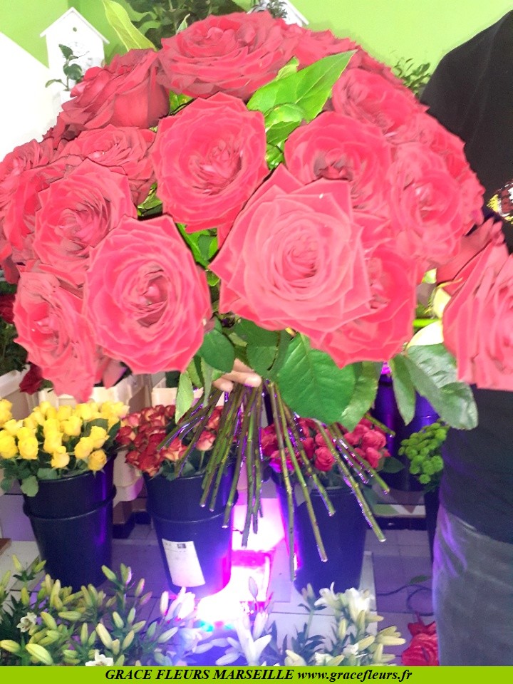 bouquets de 33 roses rouges gros boutons